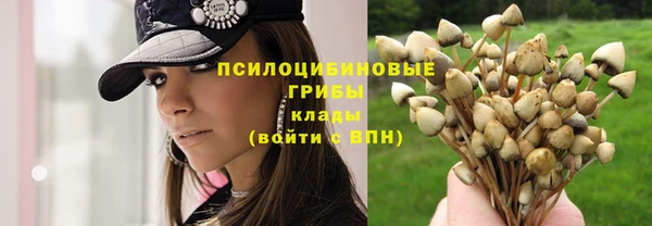 соль курить ск Медвежьегорск