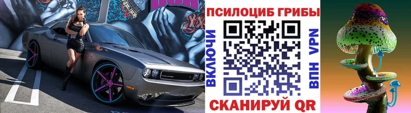 Галлюциногенные грибы GOLDEN TEACHER  даркнет сайт  Нефтекумск 