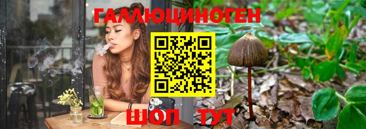 Галлюциногенные грибы Psilocybe Нефтекумск