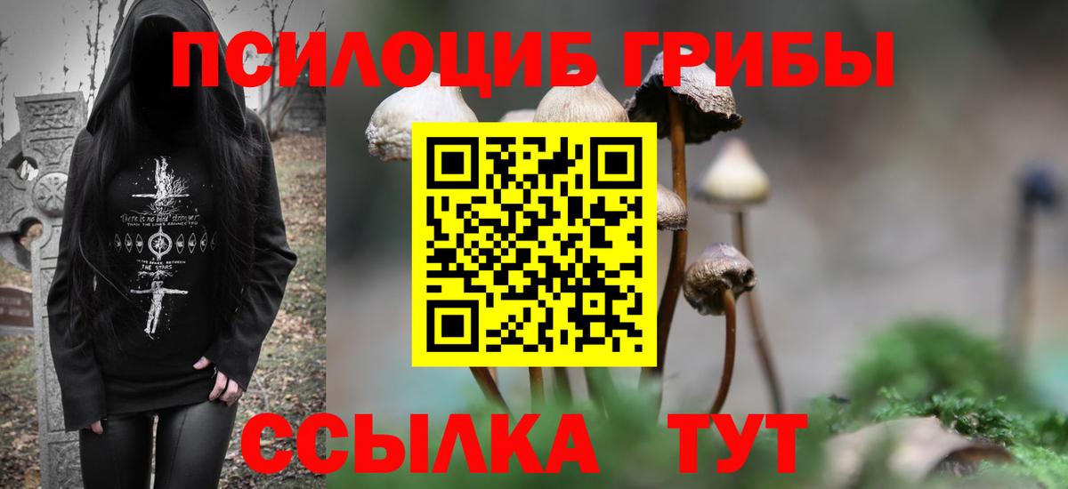Псилоцибиновые грибы GOLDEN TEACHER  Псилоцибиновые грибы MAGIC MUSHROOMS  закладка  Нефтекумск  Вход с VPN 