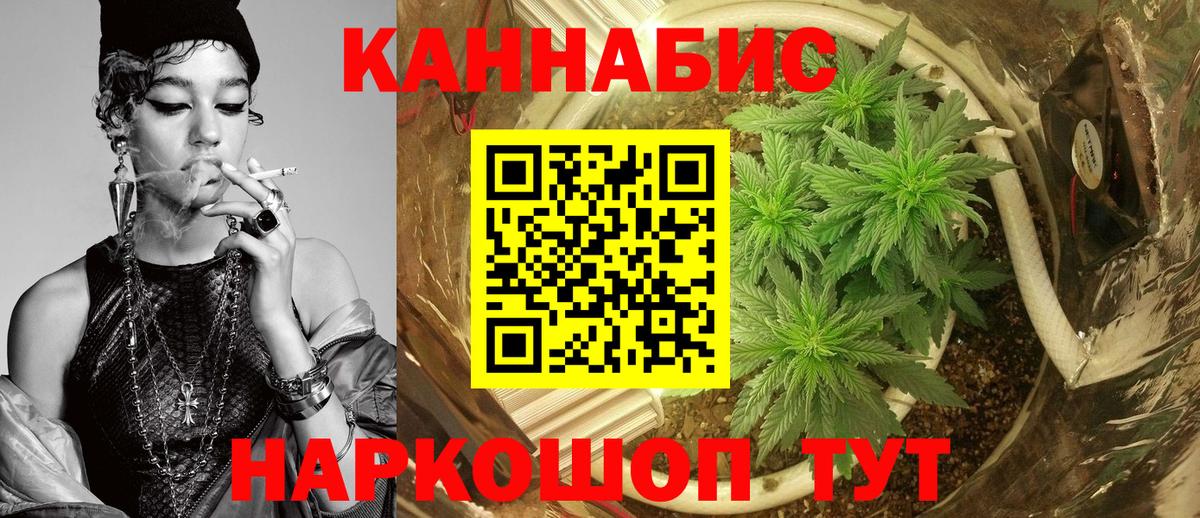 Бошки марихуана планчик  Нефтекумск  Бошки марихуана White Widow 